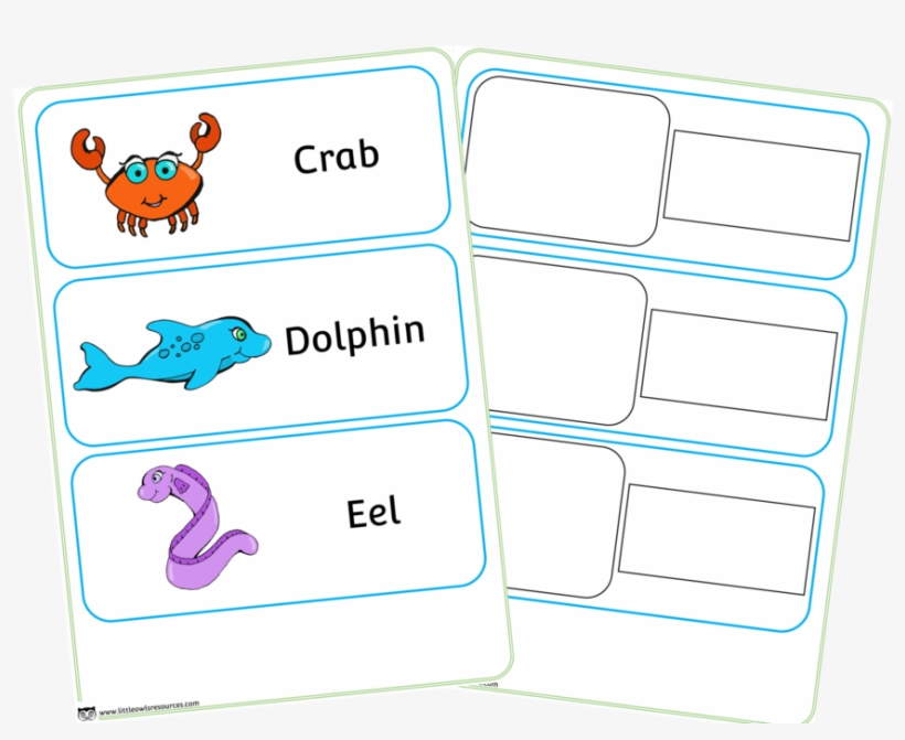Sea Animal/creature Word Cards - Sea, transparent png