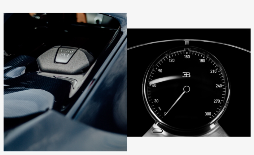 Bug-dip01 - Portable Network Graphics, transparent png