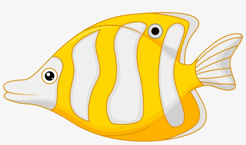 Яндекс - Фотки - Fish, transparent png