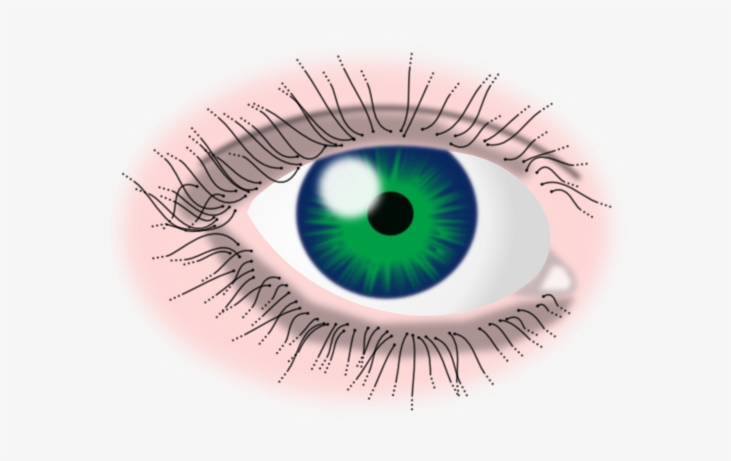 Green Eye Svg Clip Arts 600 X 437 Px, transparent png