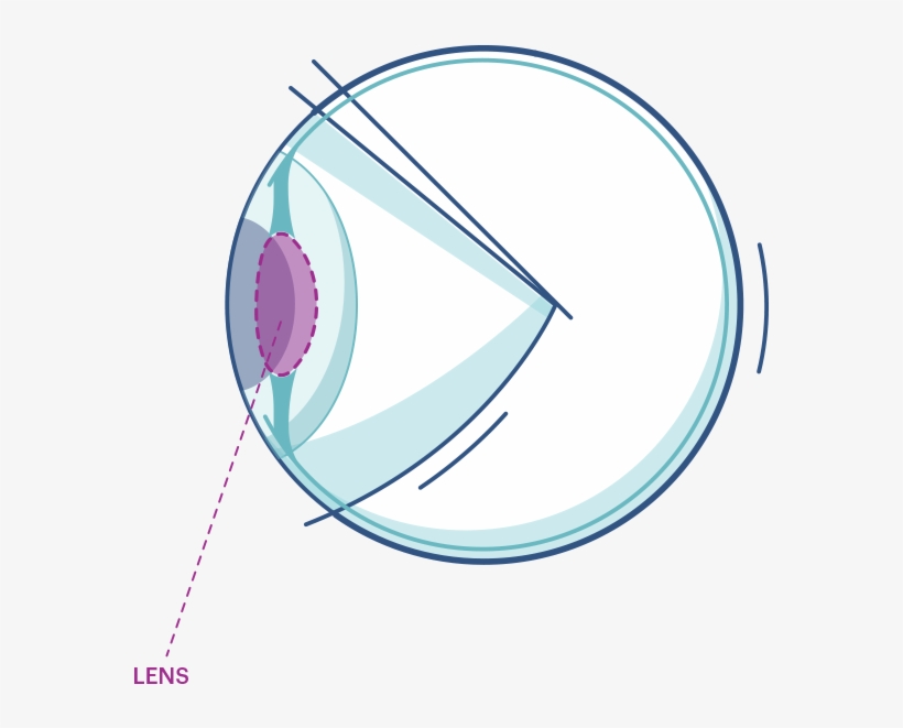 Illustration Of Any Eye Highlighting The Lens - Circle, transparent png