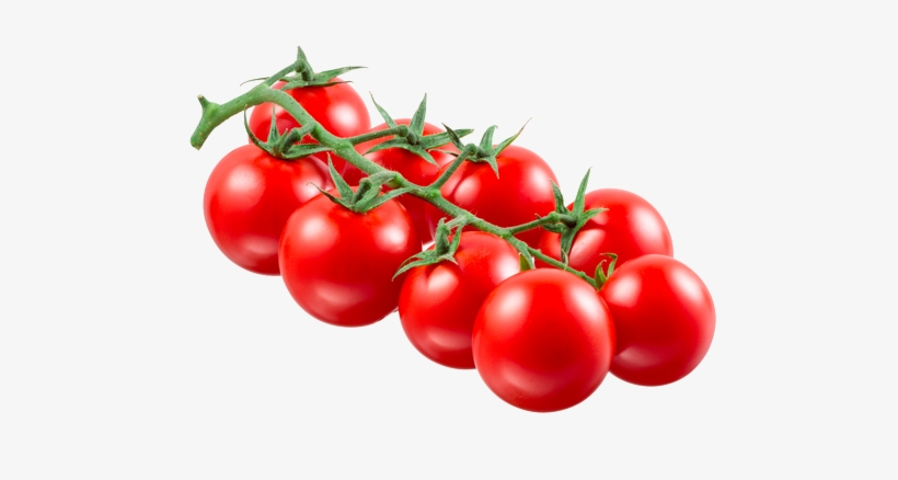 Category - Tomate Rama Png, transparent png
