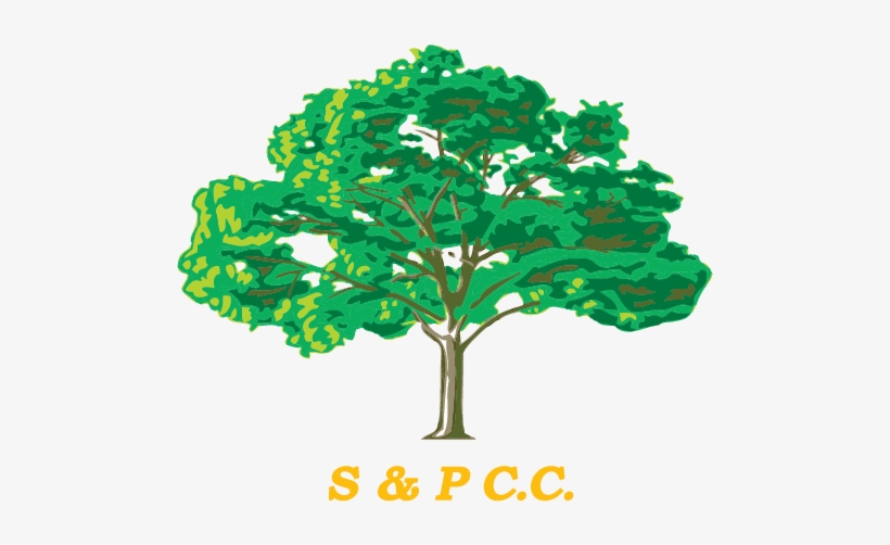 Shapwick And Polden Cricket Club - Divine Intervention V - A Guide To Healing, transparent png