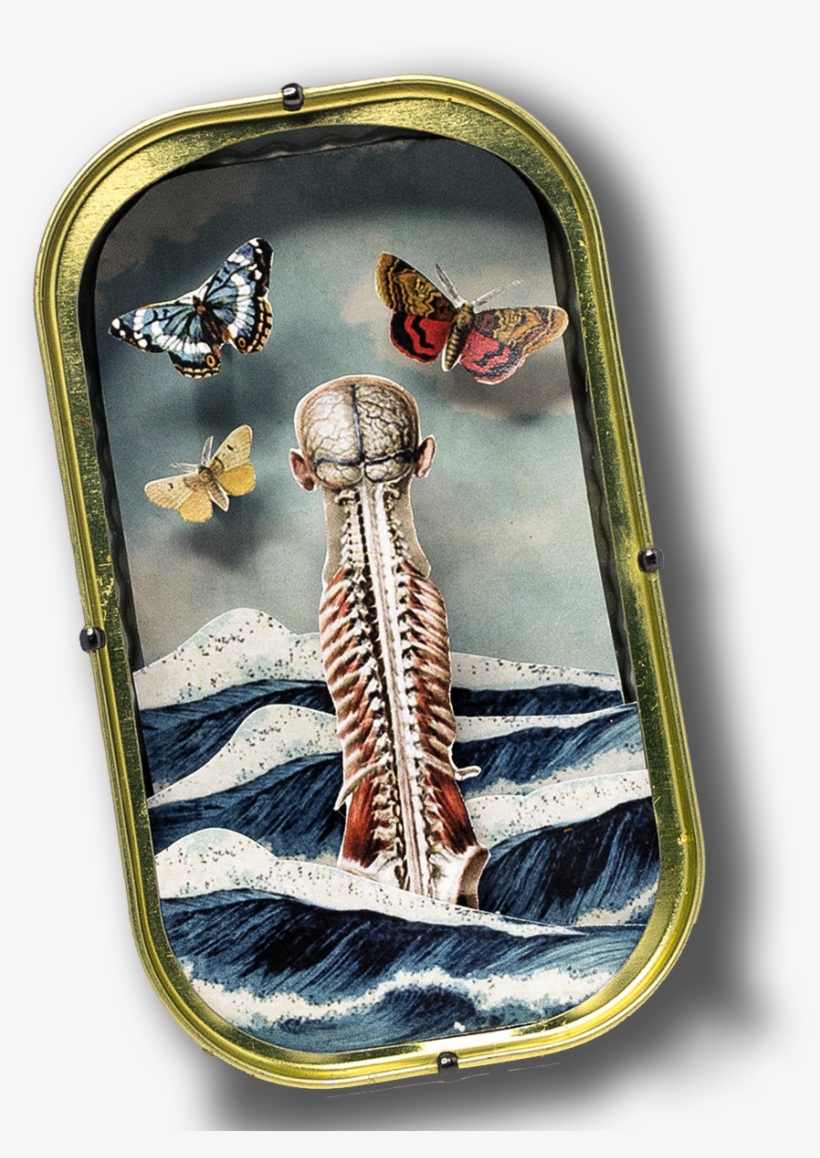 Tint O Rama Official Store Canned Souvenirs Made From - Postcard, transparent png