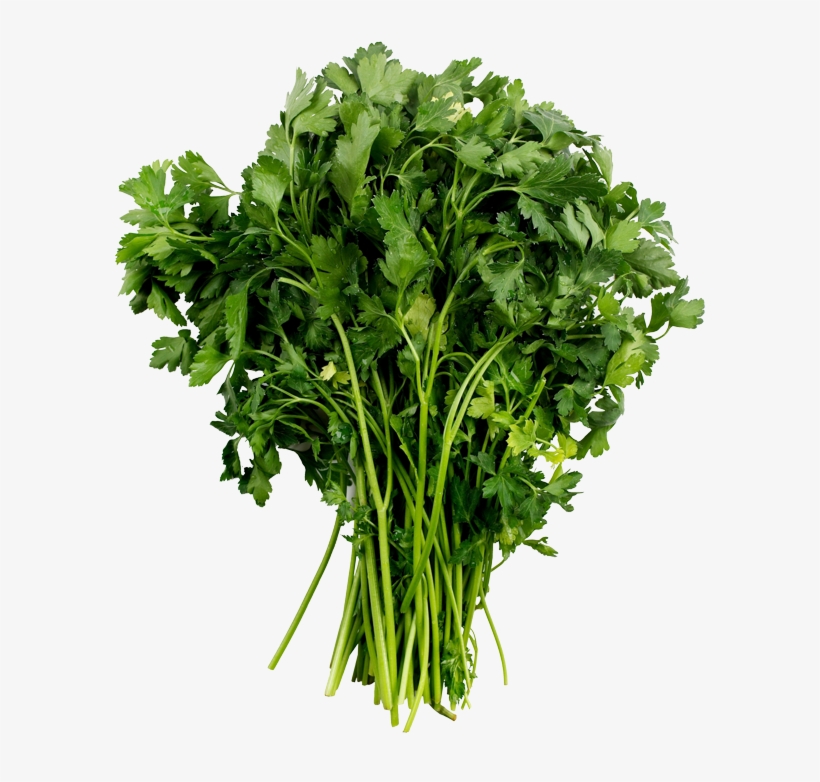 Parsley - Vegetables Top View Png, transparent png