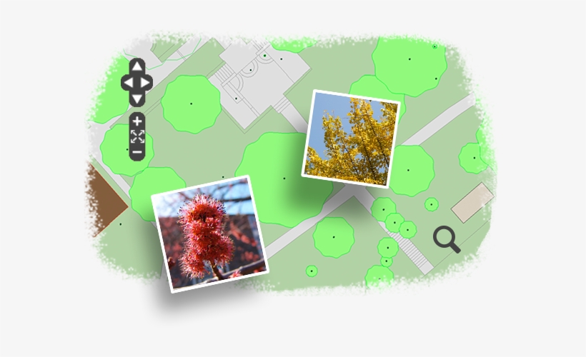 View The Interactive Map - Map, transparent png