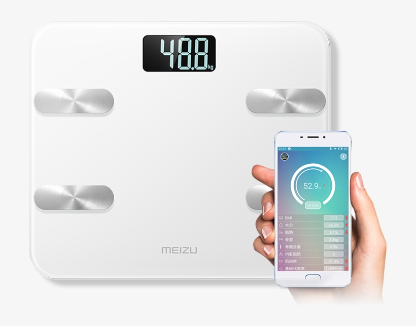 Lightbox Moreview - Body Fat Percentage, transparent png