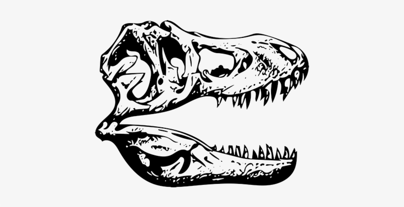 T-rex, Tyrannosaurus, Fossil, Dinosaur - Illustration, transparent png