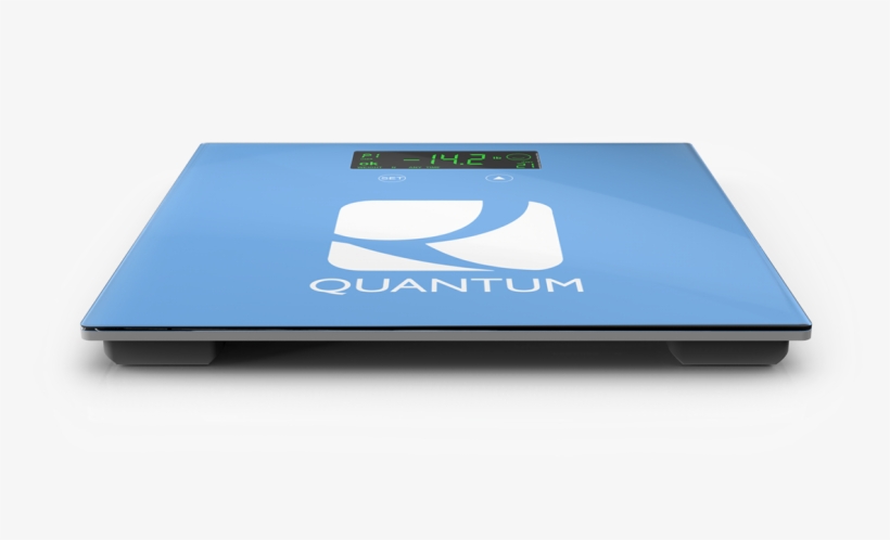 Buy Scale Now - Product, transparent png