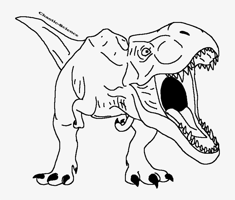 Tyrannosaurus Rex Line Drawing, transparent png