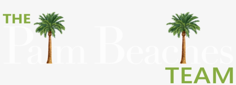 Logo, transparent png