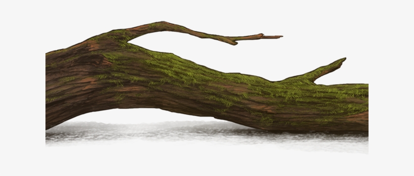 Driftwood, transparent png