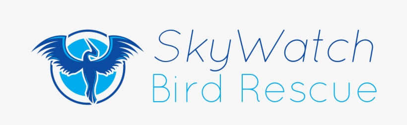 Found A Baby Bird - Ent Specialist Doctor Png, transparent png