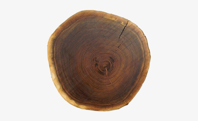 Modern Design & Function - Round Wood Piece Png, transparent png