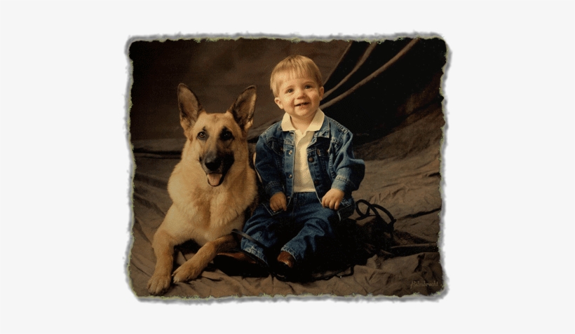 German Shepherd Dog With Child - German Shepherd Puppies With Children, transparent png