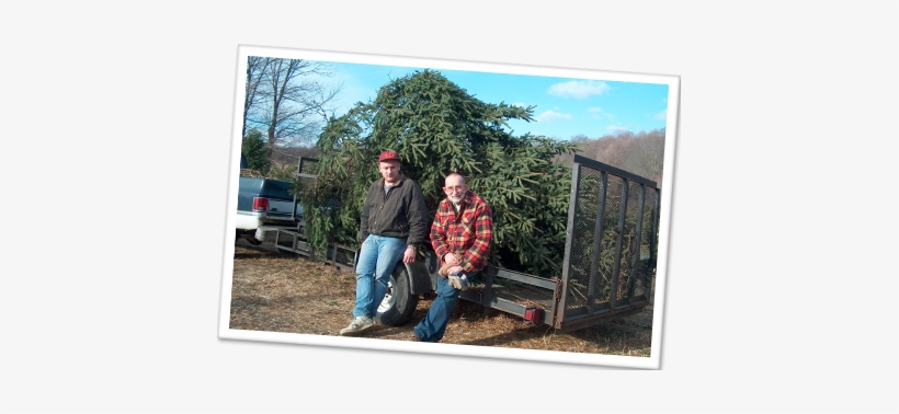 Tree Farm, transparent png