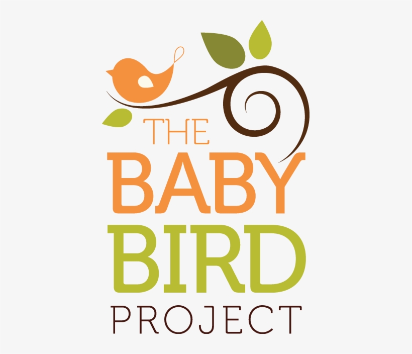 Baby On Board Sign Vector, transparent png
