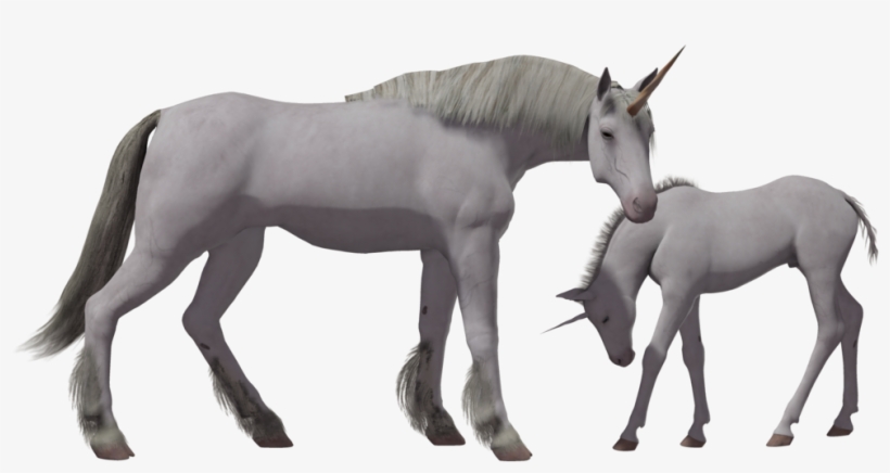 Unicorn, transparent png