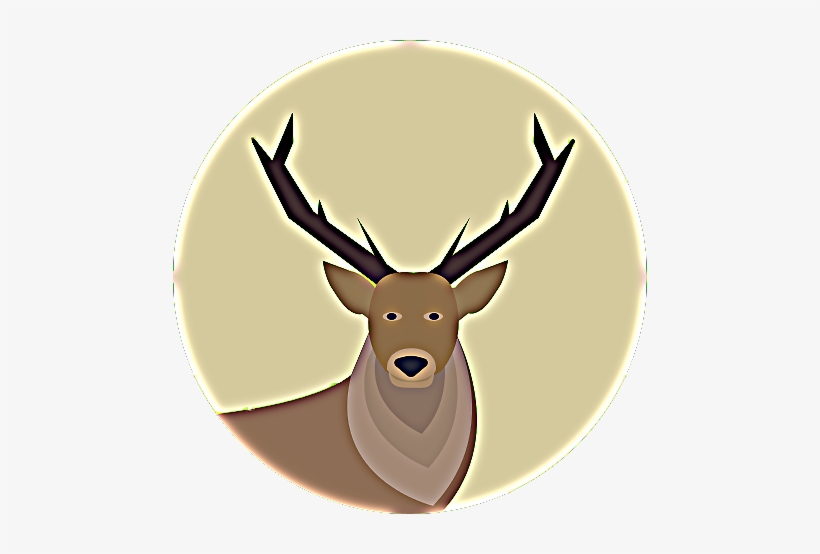 Animals Time Animals Time - Moose, transparent png