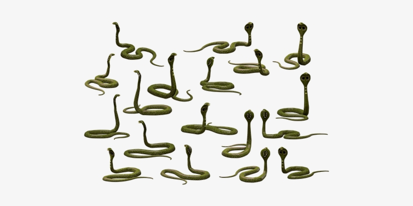 Snake, Cobra, Reptile, Poisonous - Snakes, transparent png
