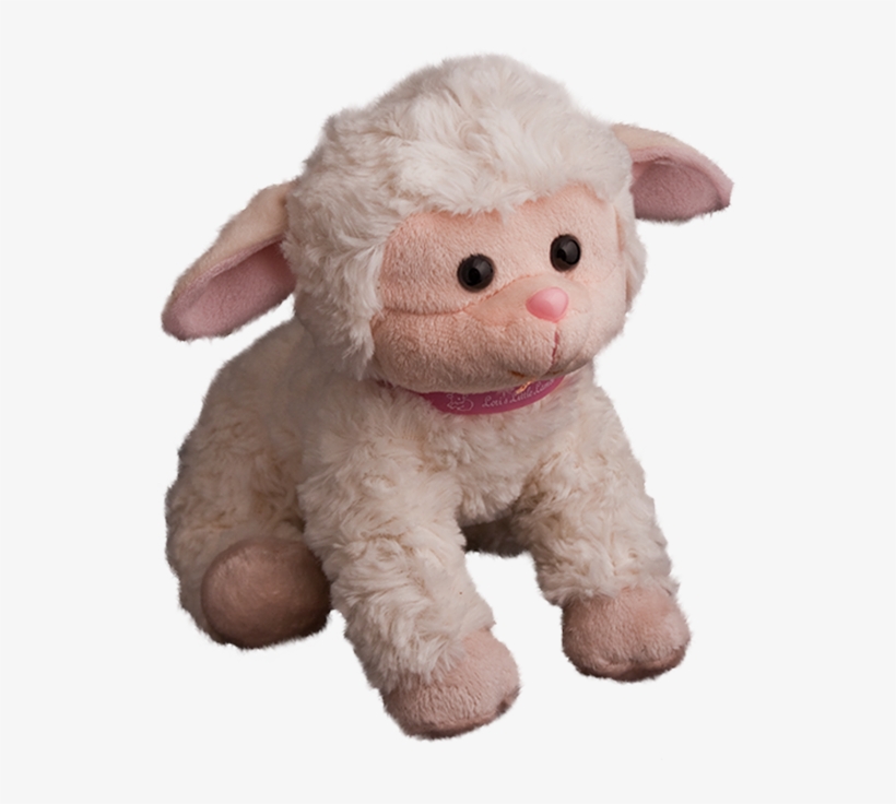 Lori's Baby Lamb - Ptl Shopping, transparent png