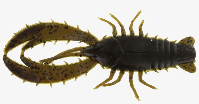4″ Real Deal Craw In Green Pumpkin - American Lobster, transparent png