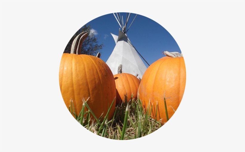 Pumpkins - Pumpkin, transparent png