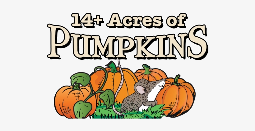 Extra Fee Attractions - Pumpkin, transparent png