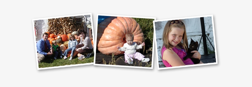 We Are Officially Closed For The Season Thanks To All - Polly's Pumpkin Patch, transparent png