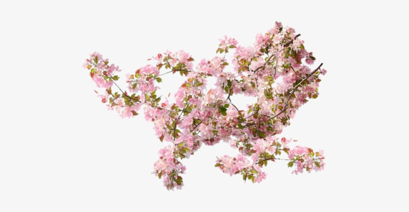 Transparent Spring Overlays, transparent png