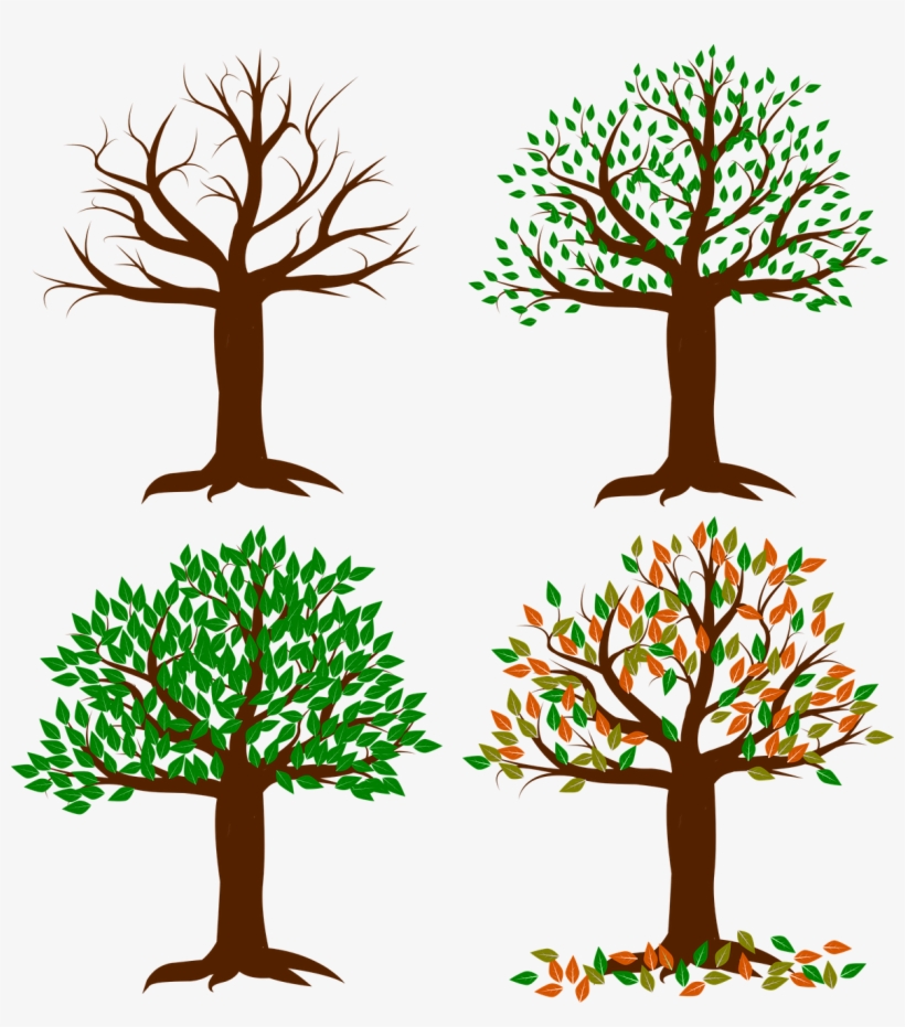 'cropped Seasons Of The Year 1994663 12803 ' - Seasons Clip Art Transparent, transparent png