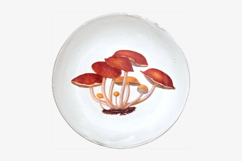 Agaric Amer Soup Bowl - Agaric, transparent png