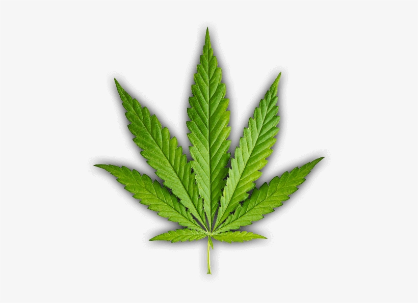 Image Description - Rocky Mountain High Logo, transparent png
