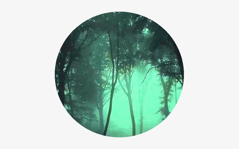 Shadeclan's Dark Forest Banner - Tropical Rainforest, transparent png