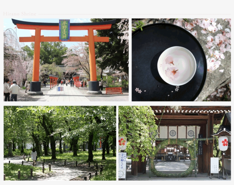 北野天満宮 平野神社 - Hirano Shrine, transparent png