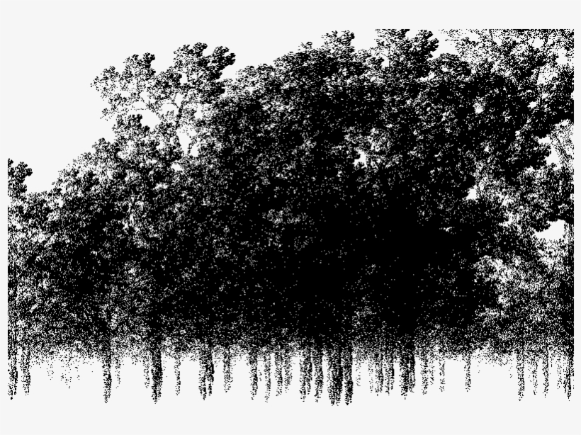 Enter Image Description Here - Monochrome, transparent png