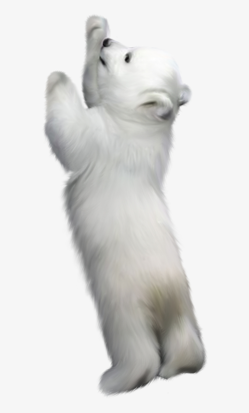 Фотки Winter Backgrounds, Bear Clipart, Winter Clipart, - Polar Bear Standing Up Png, transparent png