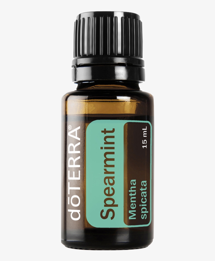 Spearmint Pdfspearmint Png - Doterra Spearmint Essential Oil 15 Ml, transparent png