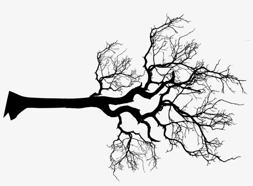 Menu - Black White Tree Png, transparent png