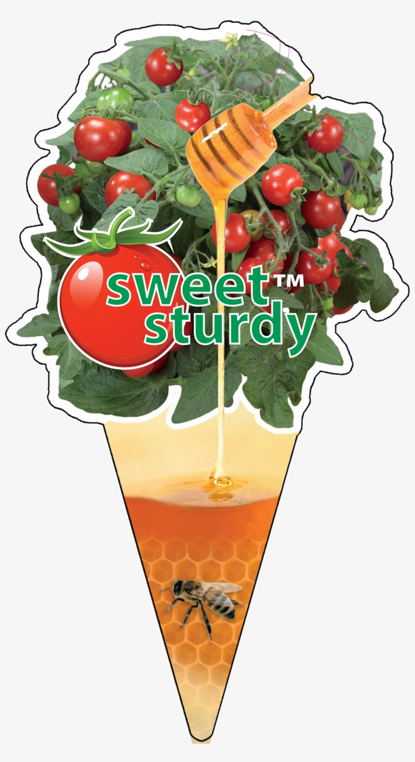 Click To Open Image Click To Open Image - Bacardi Cocktail, transparent png