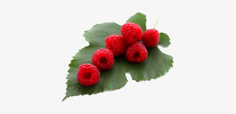 Raspberry Heritage - Pennsylvania, transparent png