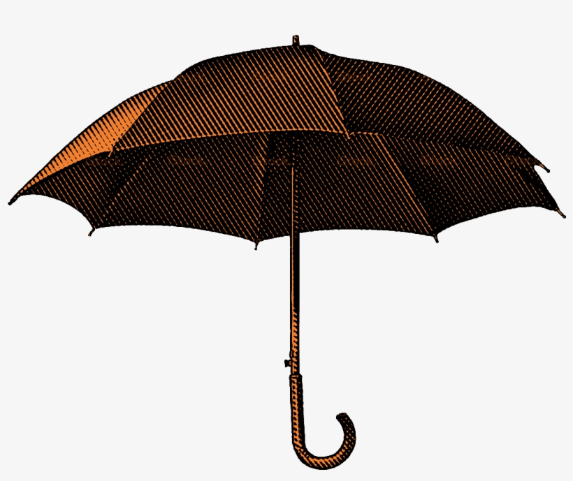 Umbrella - Umbrella Png, transparent png