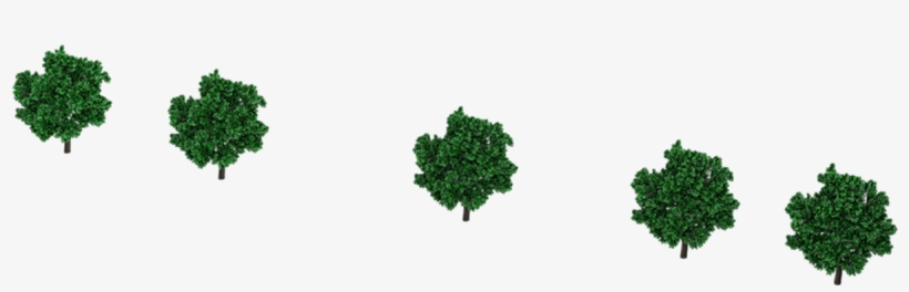 Trees - Tree, transparent png