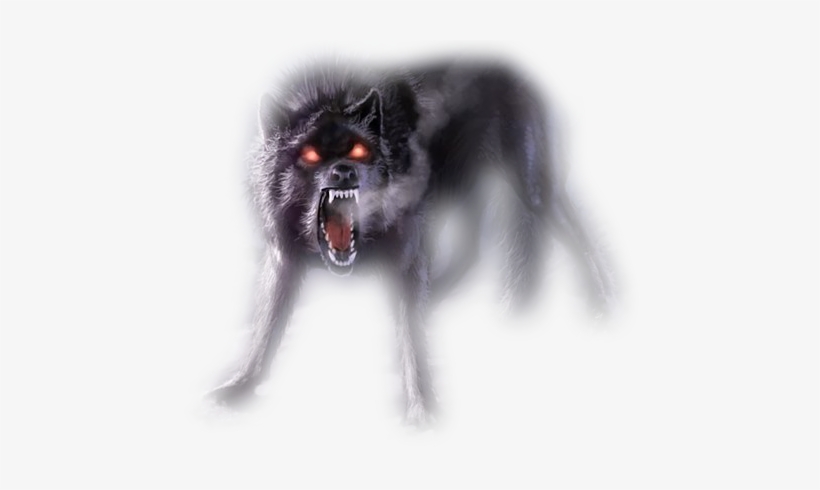 Image Real Wolf Png - Ilove My Haters, transparent png
