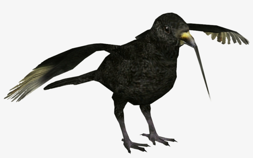 Black Mamo - American Crow, transparent png