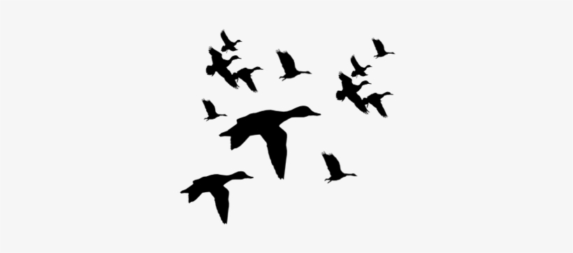 Home - Saniwa Wall Decal Decor Dogs Catails Flocks Galore, transparent png