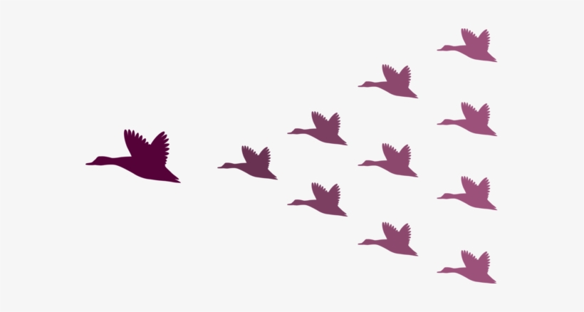 Geese Flock Leadership - Leadership Geese, transparent png