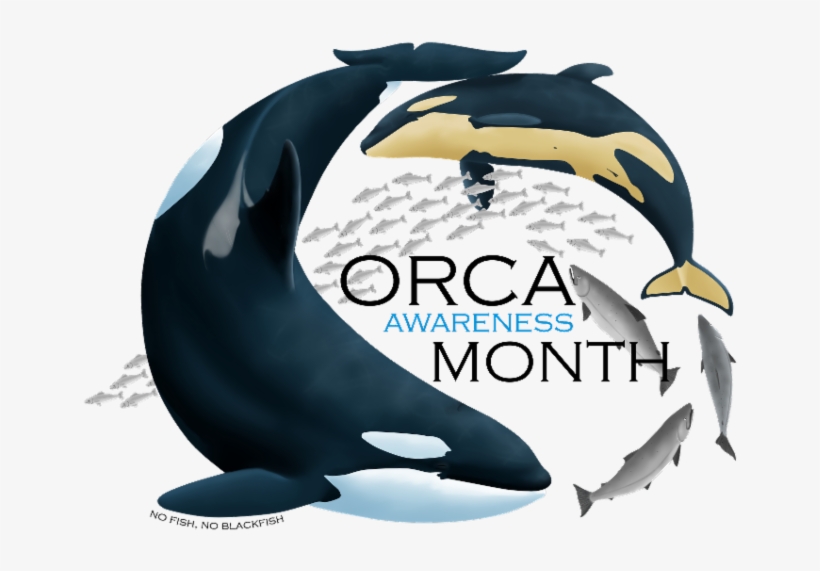 Month - Orca Awareness Month 2018, transparent png