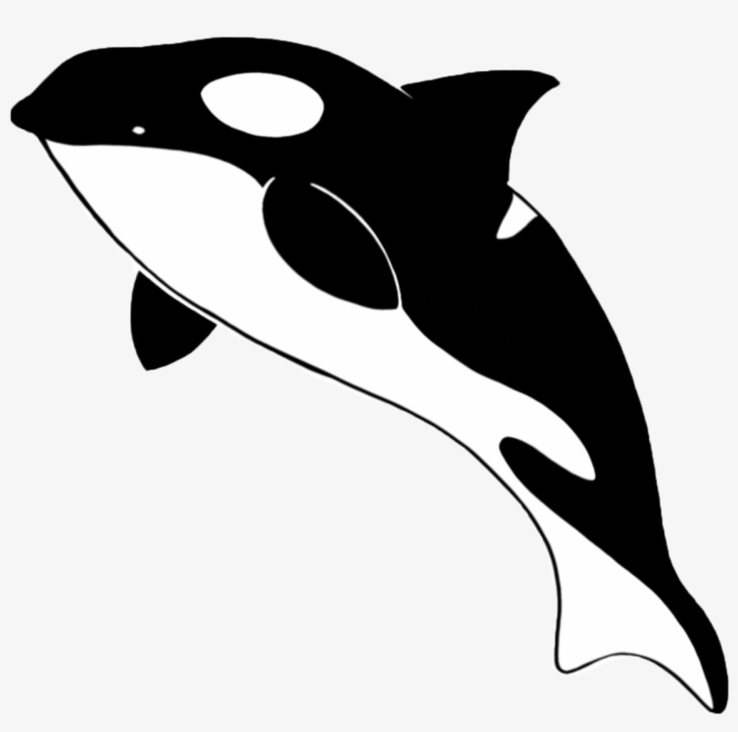 Illustration By Cole Sandhofer - Illustration, transparent png