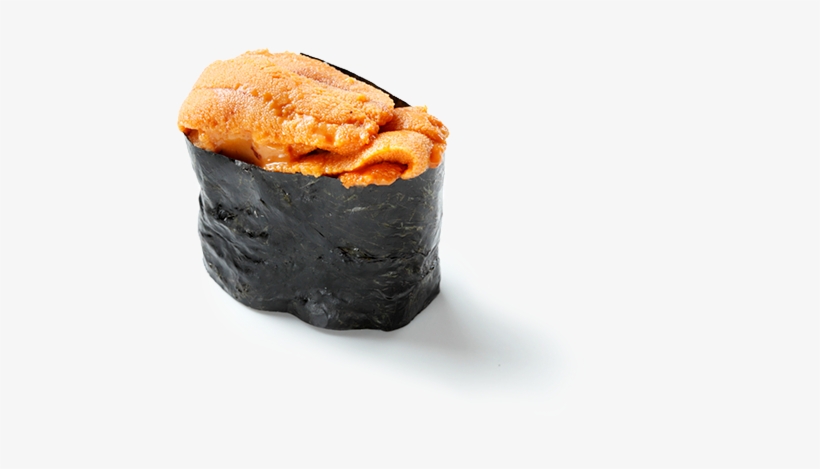 Uni - Sea Urchin, transparent png